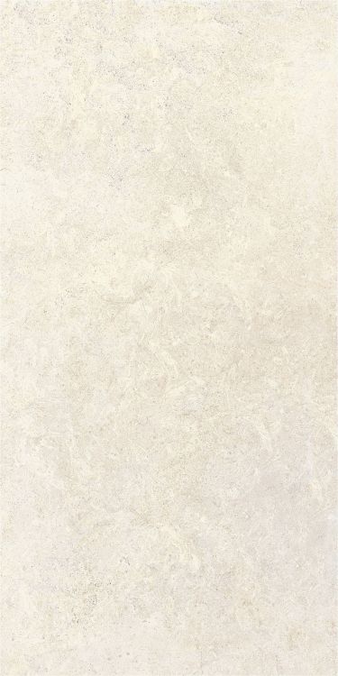 OL Limestone Avorio Matte 24 x 48